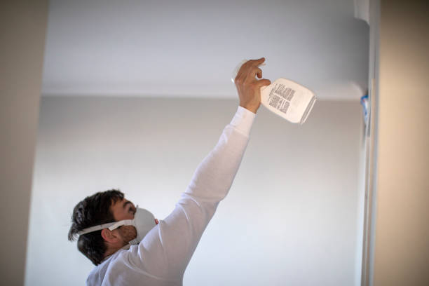 Best Office Mold Removal Services  in Greenwood, MO