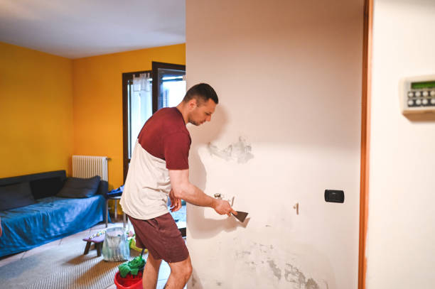 Best Certified Mold Removal  in Greenwood, MO