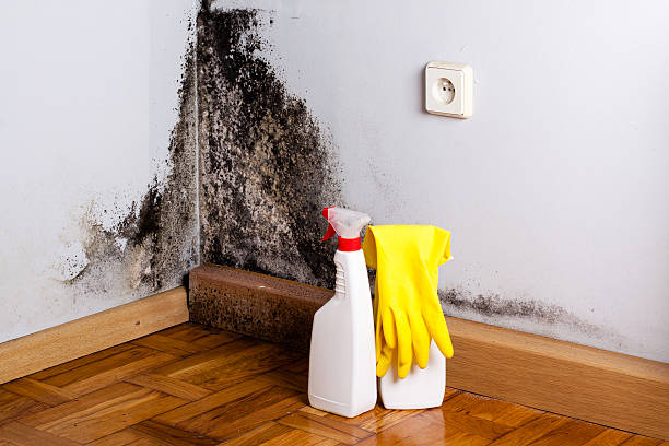 Best Crawl Space Mold Removal  in Greenwood, MO